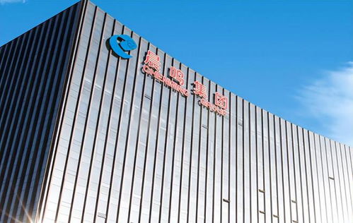 負債率達72 ,上市以來首次預虧12億