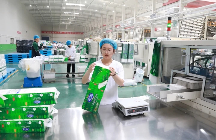 【美麗鞍山】雨森紙業:扎根本地沃土 深耕東北市場 3日,臺安經濟開發