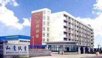 造紙大亨山鷹紙業 十年營收暴增8倍 背后有何秘密