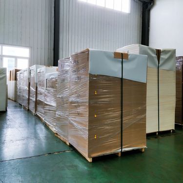 根深紙業 深耕行業，鑄就紙業新篇章