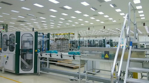 探訪新會亞太紙業 綠色制造與產業升級的典范