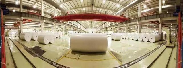 重磅|晨鳴紙業(yè)榮獲山東省省長(zhǎng)質(zhì)量獎(jiǎng)提名獎(jiǎng)